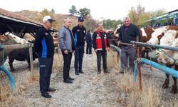 Tosya Hayvan Pazarı yeniden açıldı