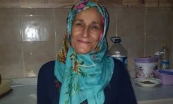 Cide'de acı olay: Ecel fındık bahçesinde yakaladı 