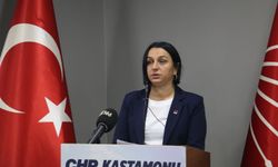 Kastamonu CHP'de yeni İl Başkanı İlke Karabacak