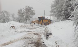 Yollar tek tek açılıyor! 39 köy yolu ulaşıma açıldı