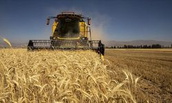 Kastamonu'da tarıma 21 yılda dev yatırım