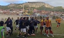 Tosyaspor-Taşköprüspor maçında saha karıştı