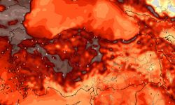 El Nino sıcakları Türkiye'de mevsimlerin dengesini bozdu