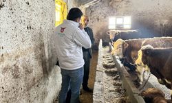 Et ve Süt Kurumu, Kastamonu'da bölge besicileriyle bir araya geldi