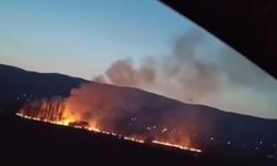 Eldivan ilçesinde arazi yangını