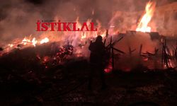 Cide'de korkutan yangın: Alev alev yandı
