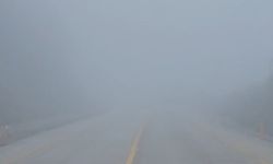 Kastamonu-Cide karayolunda yoğun sis etkili oldu