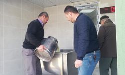 Kastamonu'da açılan tesis süt toplamaya başladı