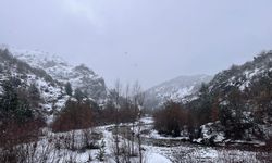 Kastamonu'da kar etkili oluyor