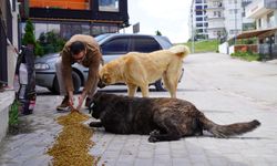 Ankara’da ki o işletme tüm gelirini sokak canlılarına bağışlıyor