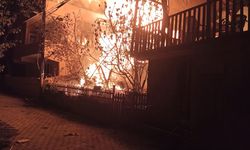 Cide'de kabus gibi gece: 2 evi yutan yangın!