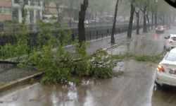 Kastamonu’da fırtına etkili olmaya başladı