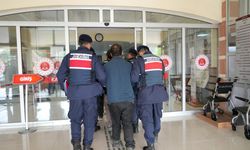 Kastamonu'da kenevir serası kuran 2 kişi tutuklandı