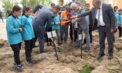 Kastamonu'da öğrenciler üretimle ata tohumuna sahip çıkıyor