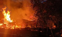 Kastamonu'da yangın dehşeti: 2 ev kül oldu