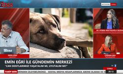 TV366'da Emin Eğri ile bu haftaki konu: "Can dostlarımızı yaşatalım mı, uyutalım mı?"