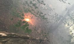 Kastamonu'da ormanlık alana yıldırım düştü, yangın çıktı!