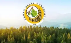 Sinop'ta ormanlık alanlara girişler 31 Ekim'e kadar yasaklandı