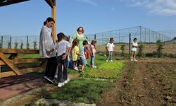 Düzce'de çocuklar hobi bahçesinde sebze yetiştirerek çevre bilinci kazanıyor