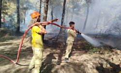 Sinop'ta çıkan yangında 1 dönüm ormanlık alan zarar gördü