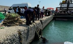 Ginolu Limanı’nda temizlik: Denizden çıkarılanlar şaşırttı!