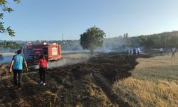 Tosya'da anız yangını: Saman balyaları küle döndü
