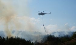 Kastamonu'daki orman yangınına müdahale devam ediyor