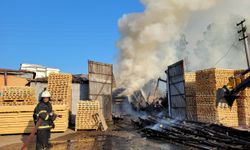 Samsun'da kereste fabrikasında çıkan yangın söndürüldü