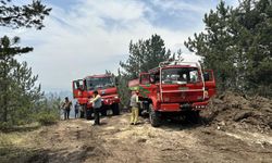 Kastamonu'dan sevindiren haber: Yangınlar kontrol altına alındı