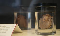 Türkiye'nin 150 yıllık tıp tarihi bu müzede