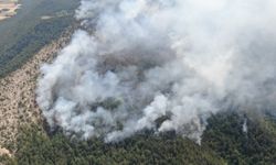 Kastamonu'daki yangına müdahale 18 saattir sürüyor