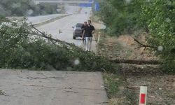 Kastamonu’da yıldırım düşen ağaç yola devrildi