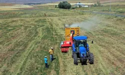 Kastamonu'da kan ağlayan çiftçi isyan etti!