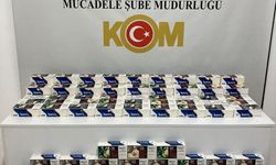 Samsun'da 20 bin makoran ele geçirildi