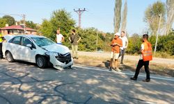 Boyabat'ta ineğe çarpan otomobildeki 2 çocuk yaralandı