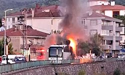 Cide'de yanan tekne ve otobüsün kundaklama şüphelisi yakalandı!