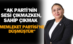 Serap Ekmekci'ye bir destekte Memleket Partisi’nden geldi