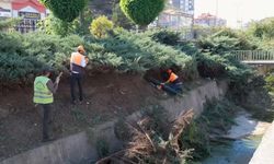 Kastamonu Belediyesi'nden İnönü'de hummalı çalışma