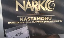 Kastamonu'da NARKO ekipler bonzai ele geçirdi