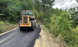 Şenpazar'da yol mesaisi