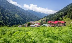 Batı Karadeniz'in birleşimine Kastamonu öncülük edecek