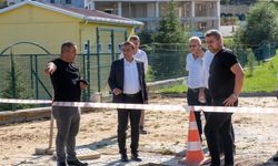 Başkan Baltacı'dan, Kastamonu'da yağıştan etkilenen bölgelerde inceleme