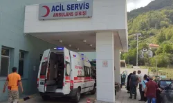 Kastamonu'da dede ile torunu motorlu testereye kapılarak ağır yaralandı