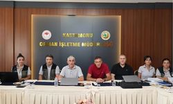 Kastamonu Ormanları için 3 yıllık bütçe hazırlanıyor