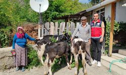 Kastamonulu Bakan talimat verdi...