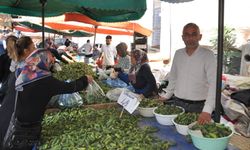 Kastamonu’da ‘kış telaşı’