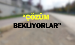 Kuzeykent’te 'problemli yol!'