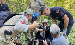 Mantar toplarken kaybolmuştu, ormanda bulundu!