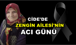 Cide'de Başkan Zengin'in anne acısı