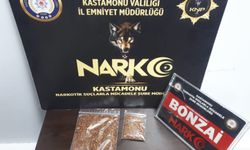 Kastamonu'da bonzai maddesi bulunduran şahıs tutuklandı!